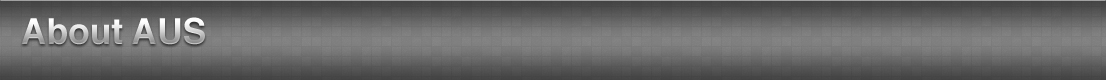  About AUS Icon 